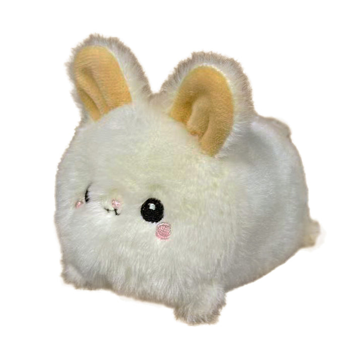 WPB-BUN